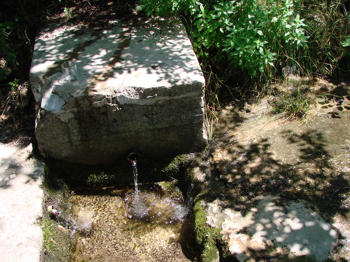 Image description